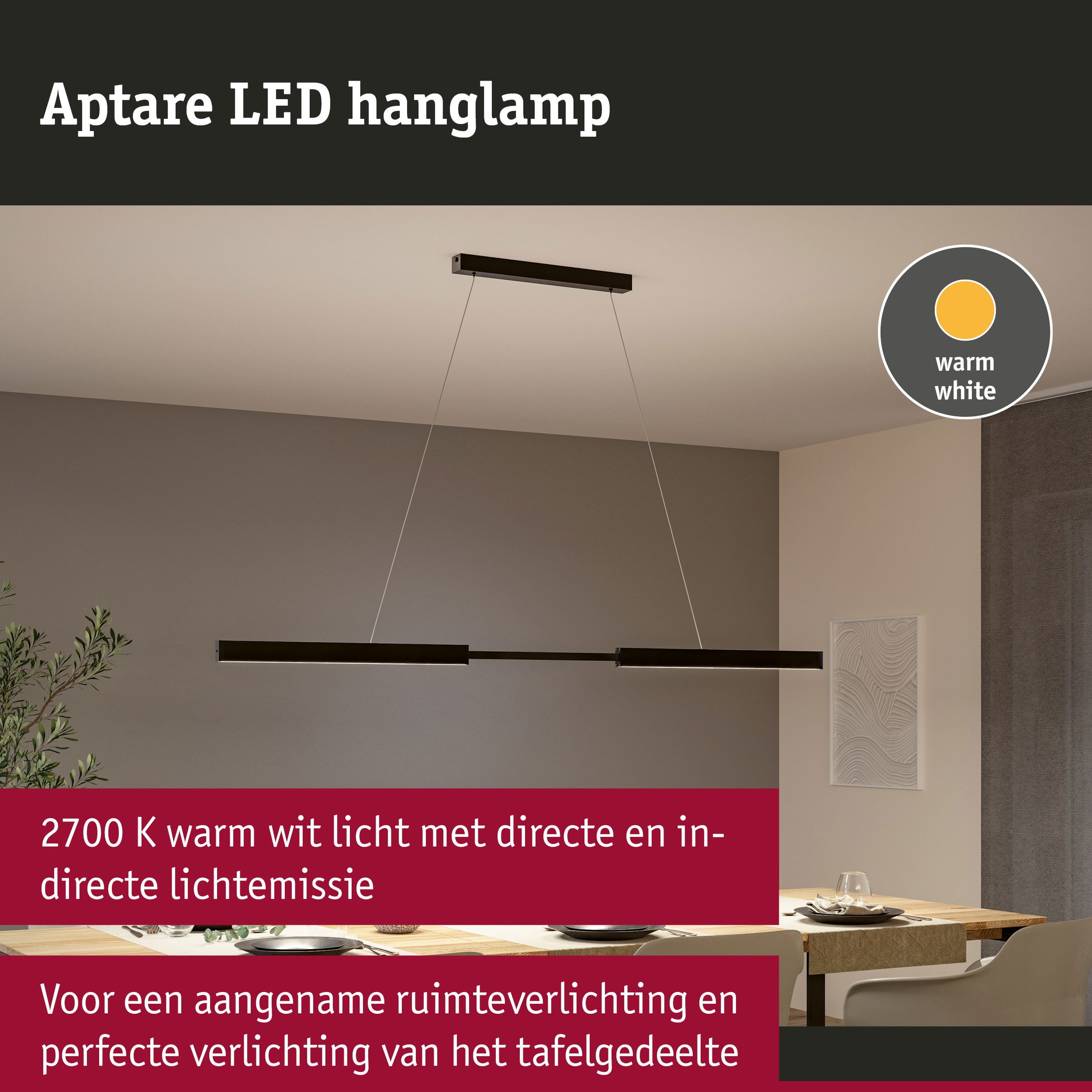 PAULMANN LED Pendelleuchte "LED Pendelleuchte Aptare dimmbar", schwarz, 2, H: 150cm, 1 Stk., Leuchten, Memoryfunktion, LED Pendelleuchte 2