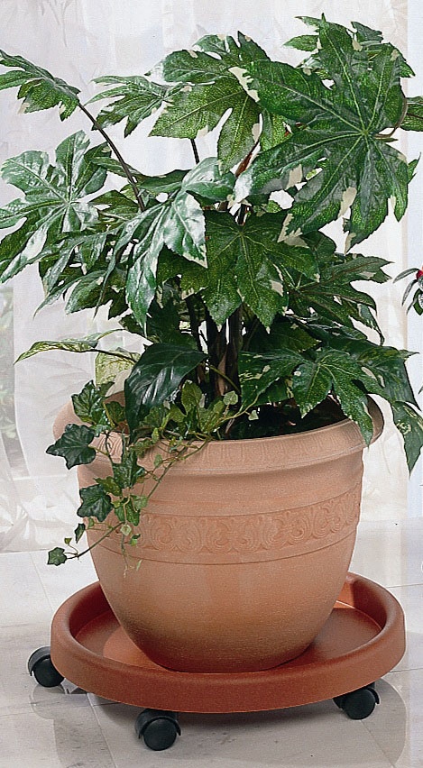 Ruco Blumentopfuntersetzer "- Aufstellfläche bzw. Innenmaß ca. 30 cm" Kunststoff, Ø 34 cm