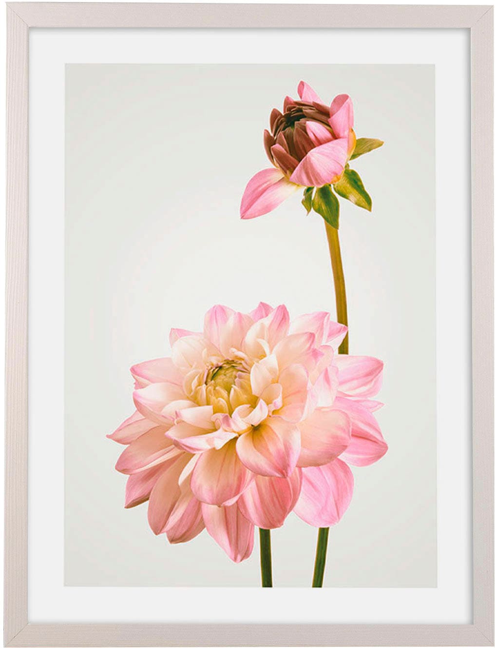 Bild mit Rahmen »Floral Delights«, maschinell