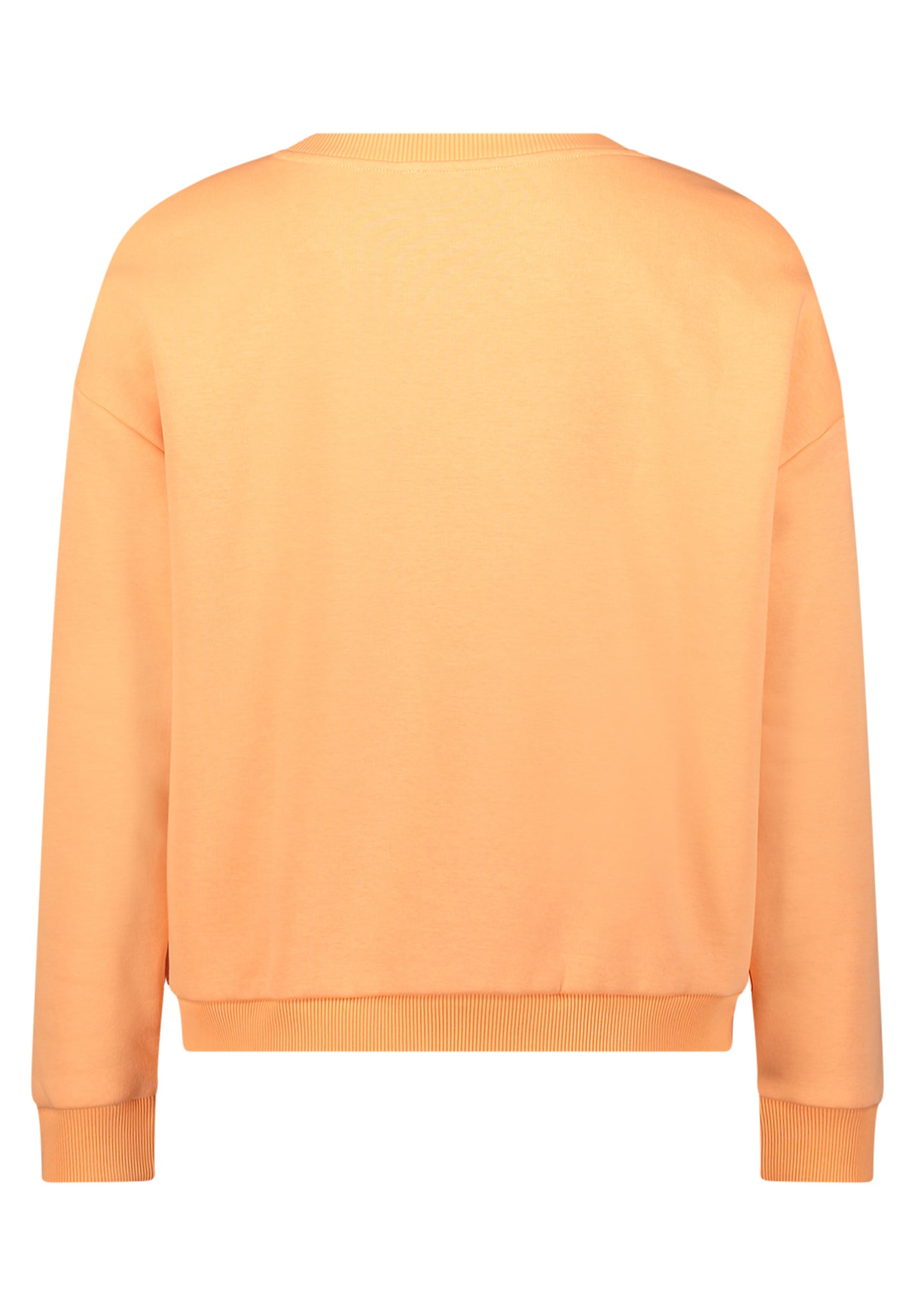 Cartoon Sweatshirt »Damen mit Rippbündchen«
