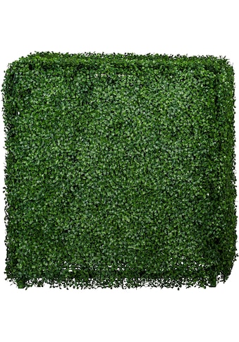 Creativ green Kunstpflanze »Buchsbaumhecke«