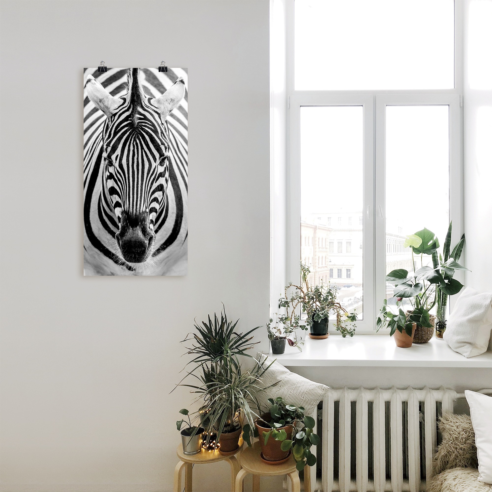 Artland Wandbild »Zebra«, Wildtiere, (1 St.), als Leinwandbild, Poster, Wandaufkleber in verschied. Größen