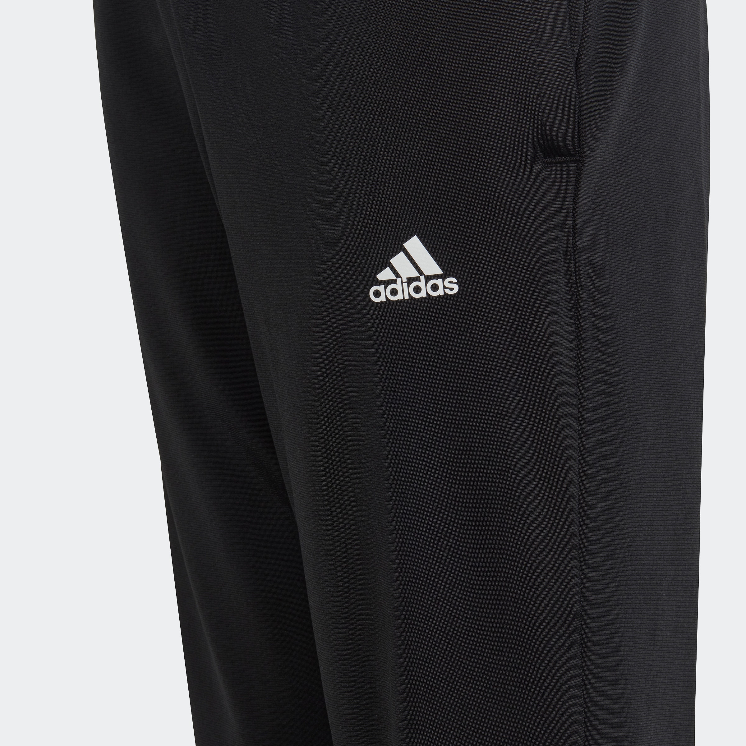 adidas Sportswear Trainingsanzug »ESSENTIALS BIG LOGO«, (2 tlg.)