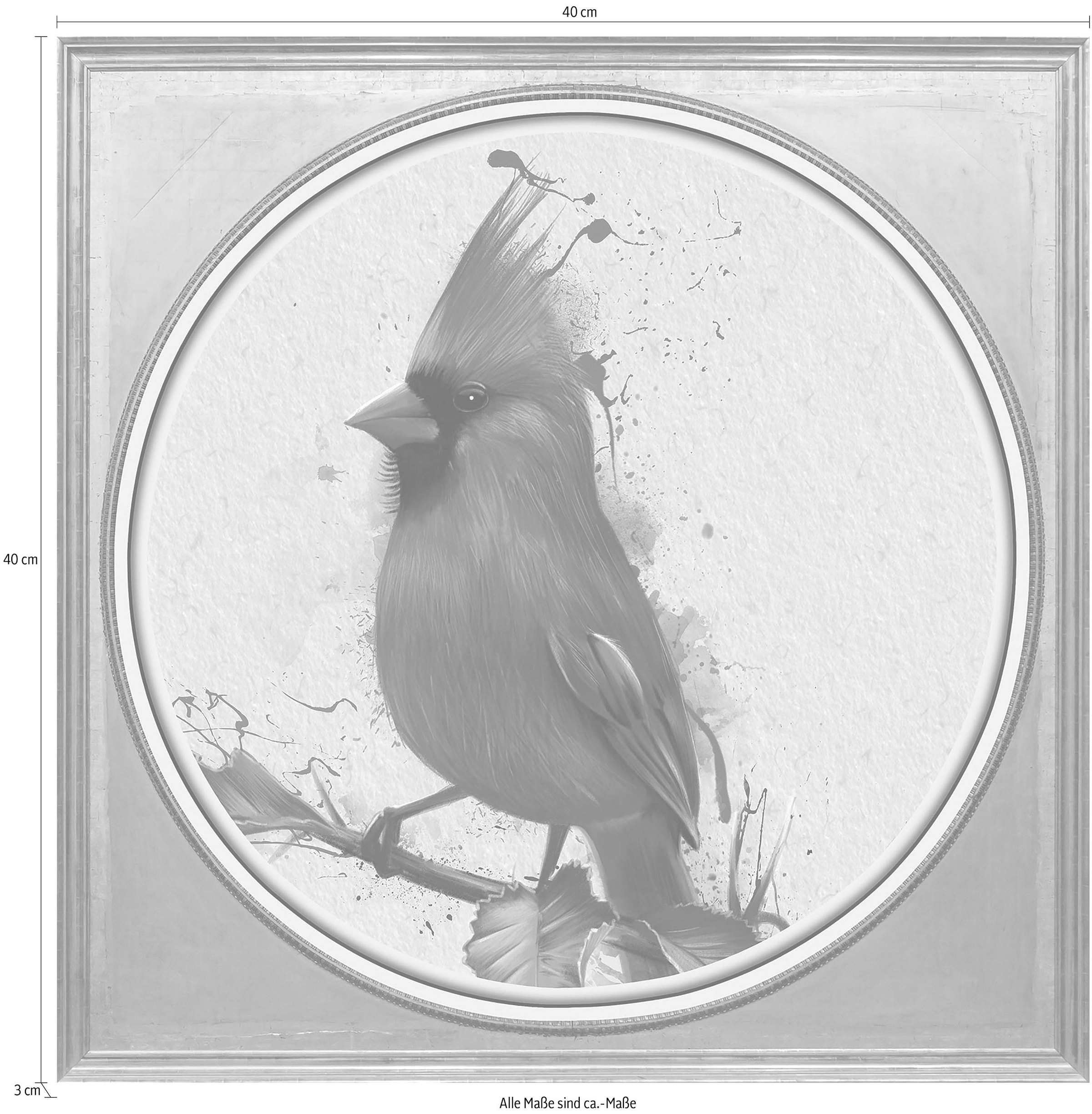 | queence »Roter Vogel« Acrylglasbild BAUR bestellen