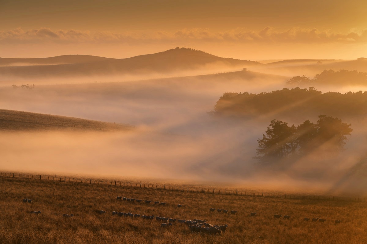Papermoon "Nebel in Landschaft"