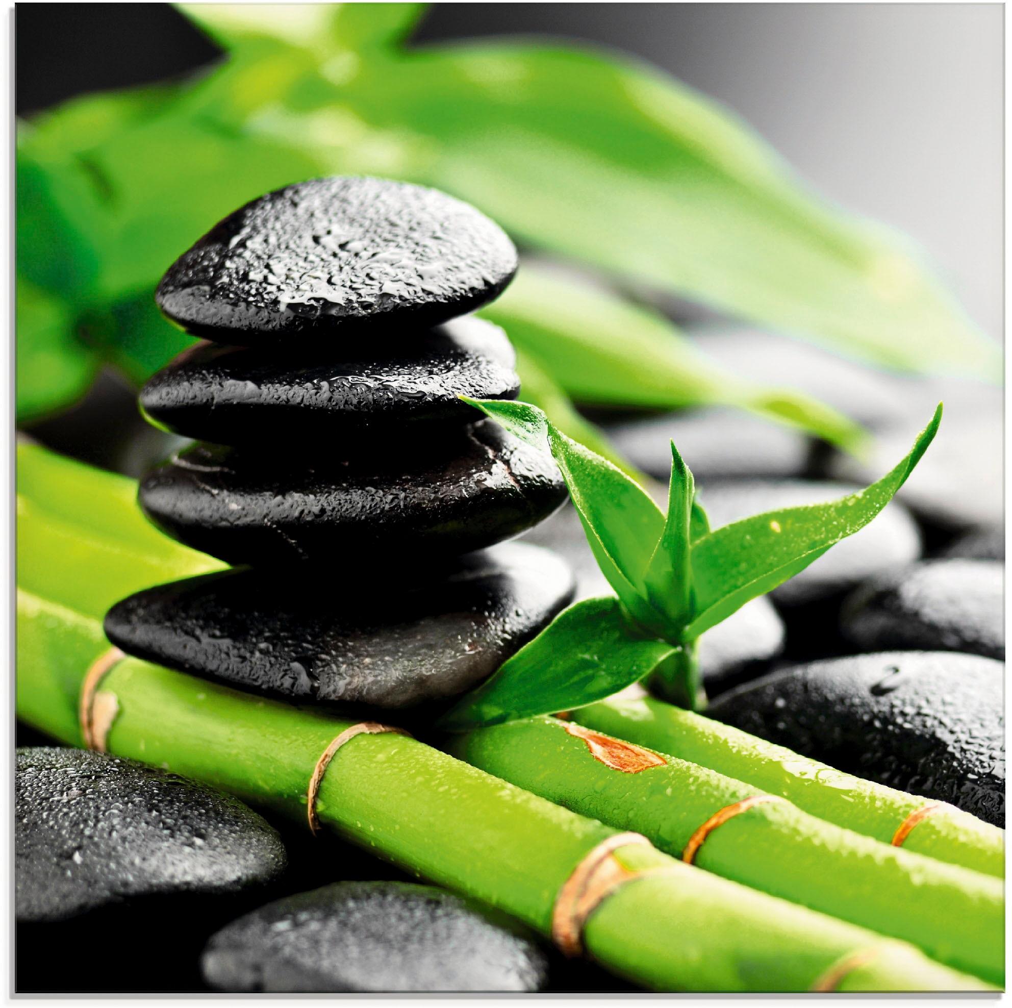 Artland Glasbild "Wachstum - Lavasteine Bambus" Zen 1 Stk. tlg. in verschie günstig online kaufen