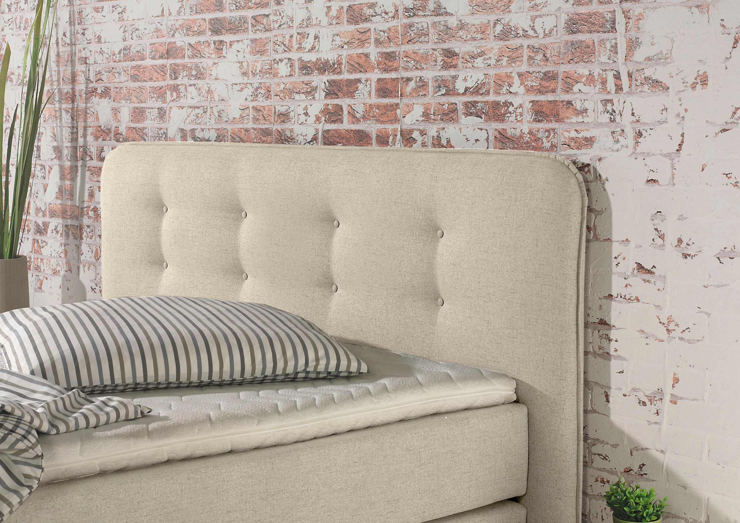 Home Affaire Cecina Boxspring Bed Beige 5