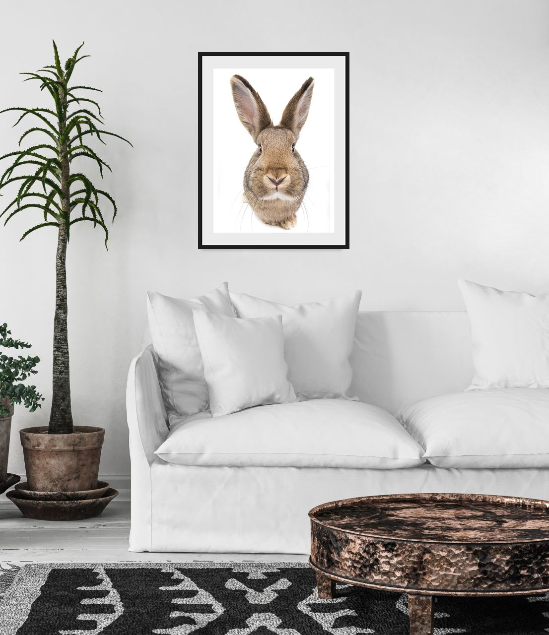 queence Bild "Algot", Hase-Hasen-Foto-Kunst-Haustiere, (1 St.), HD Premium günstig online kaufen