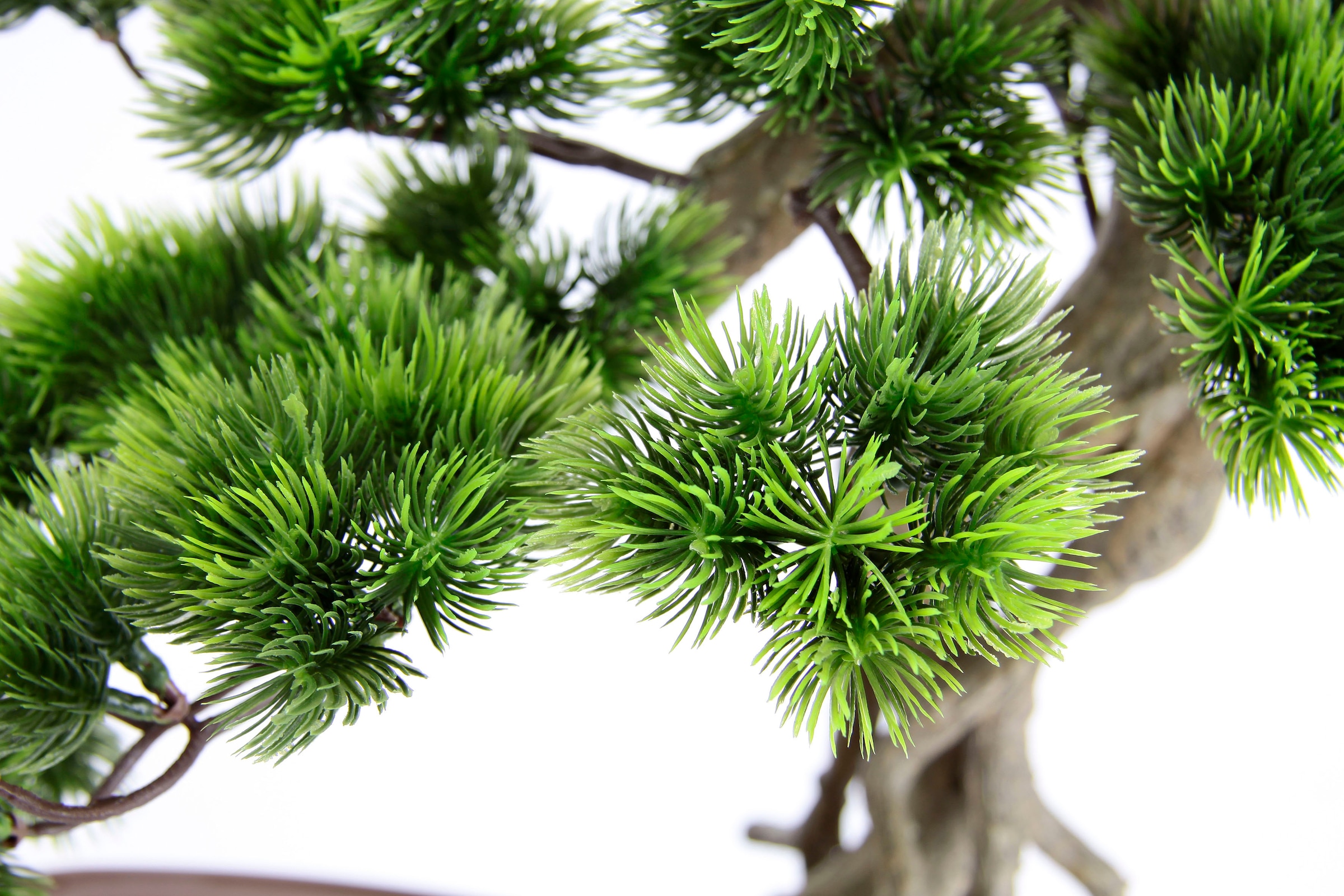 I.GE.A. Kunstpflanze »Bonsai Baum in Schale«, Exotische Bäume Zen Garten