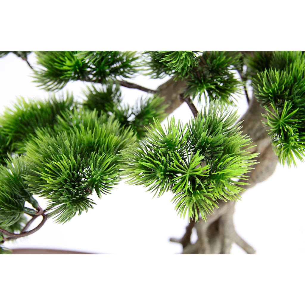 I.GE.A. Kunstpflanze »Bonsai Baum in Schale«