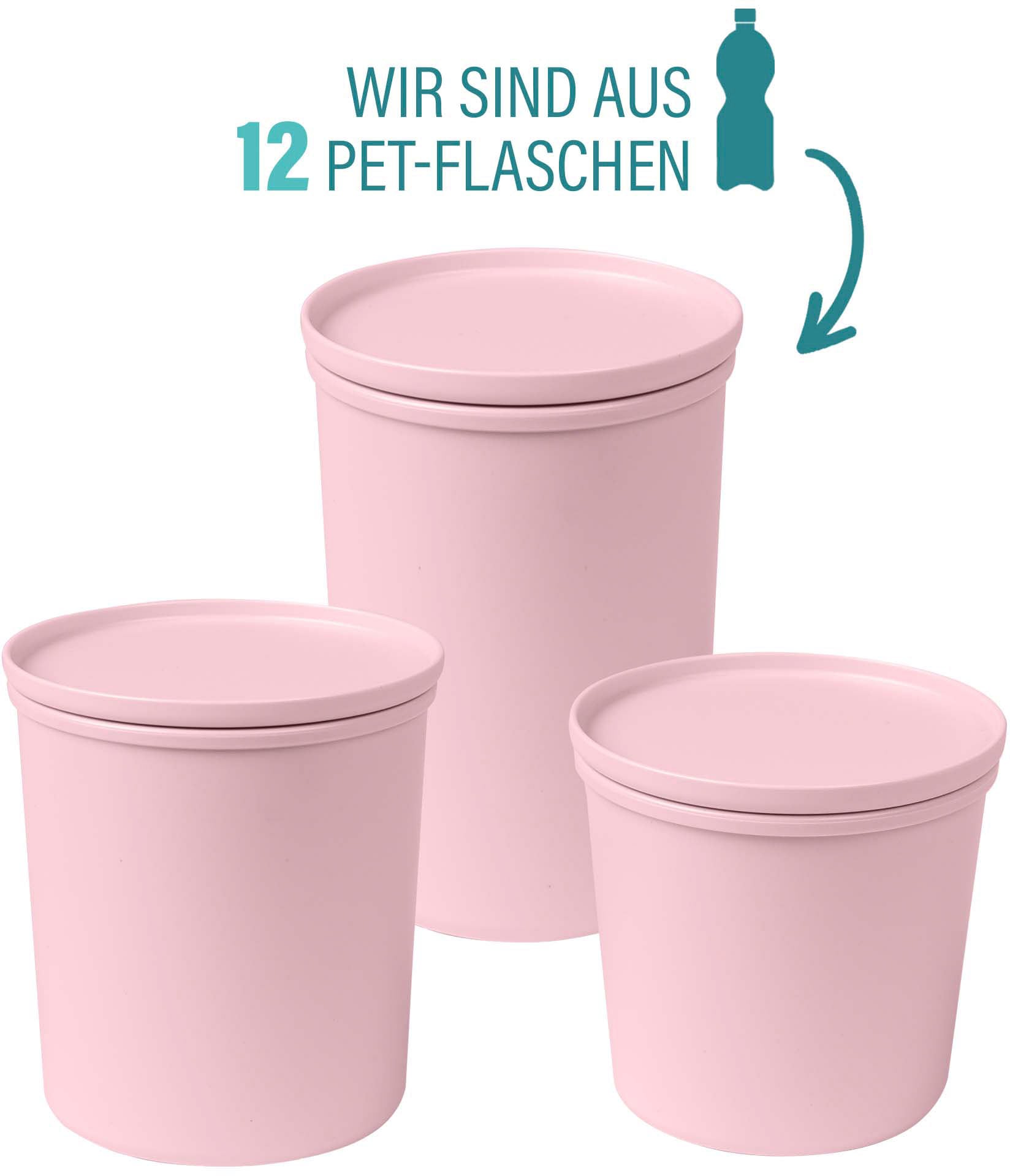 AWAVE® Frischhaltedose »AWAVE«, (Set, 3 tlg.), mit rPET, 500, 800, 1000 ml