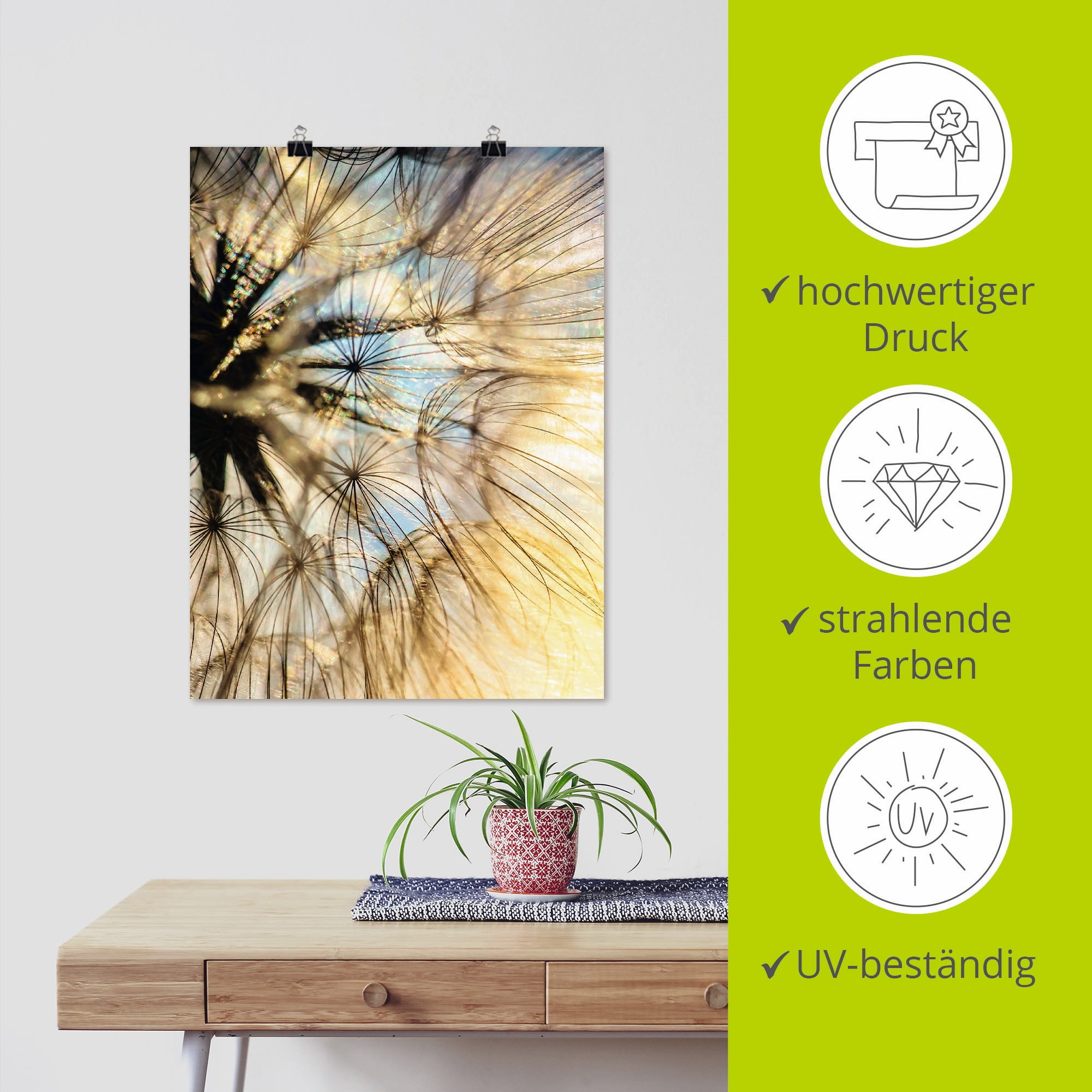 Artland Wandbild »Pusteblume Poesie«, Blumen, (1 St.), als Leinwandbild, Poster, Wandaufkleber in verschied. Größen