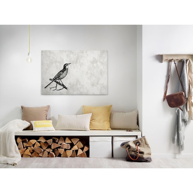 A.S. Création Leinwandbild »sketchpad 4«, Vögel, (1 St.), Schwarz-Weiß  Zeichnung Vogel Keilrahmen Bild kaufen | BAUR
