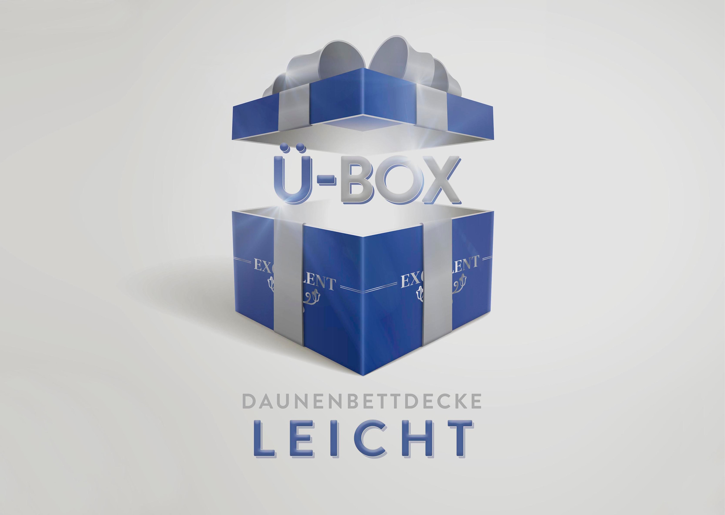 Daunenbettdecke »Überraschungsbox«, leicht, Füllung 90% Daunen, 10% Federn, Bezug...