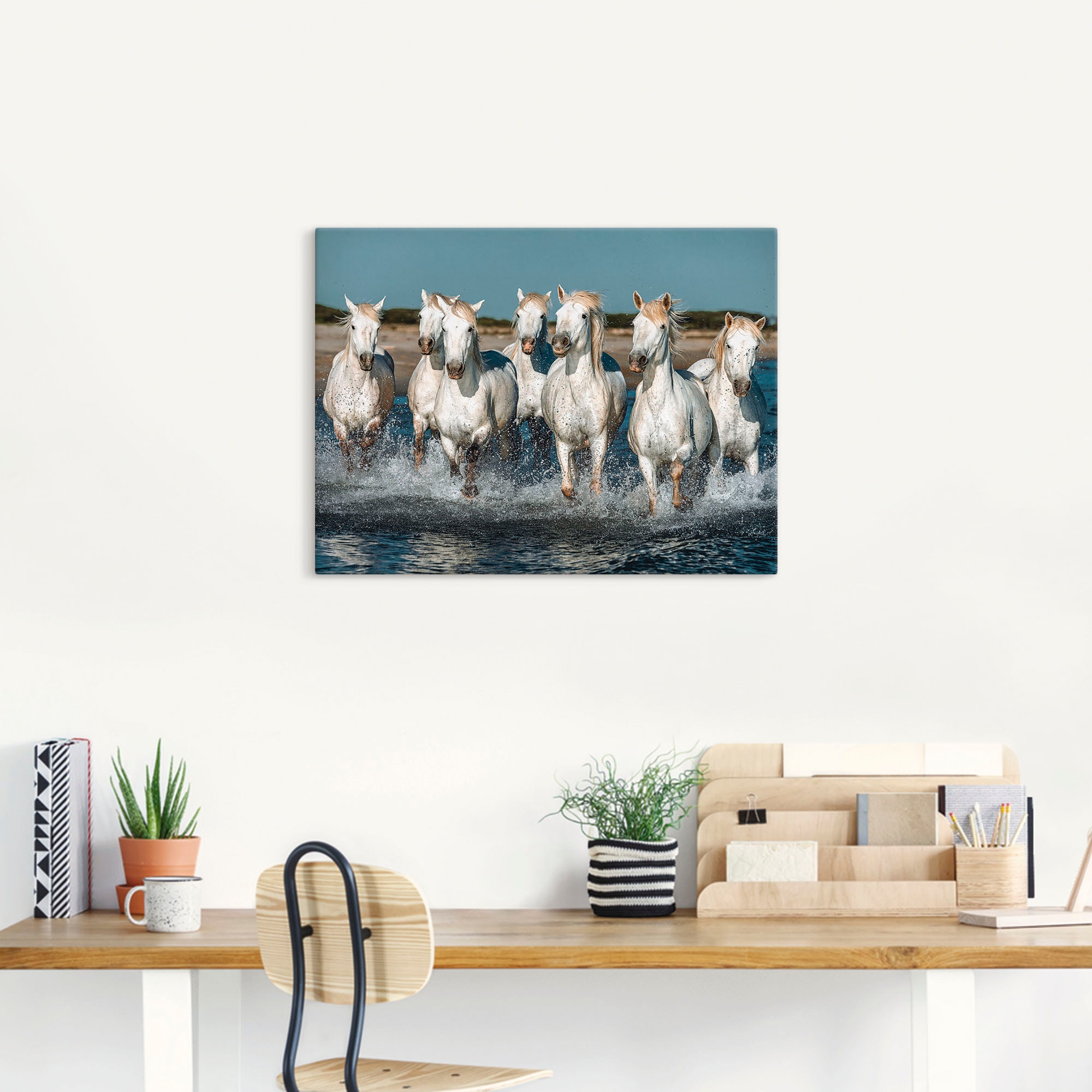 Artland Wandbild »Camargue Pferde galoppieren am Strand«, Haustiere, (1 St.), als Alubild, Outdoorbild, Leinwandbild, Poster, Wandaufkleber