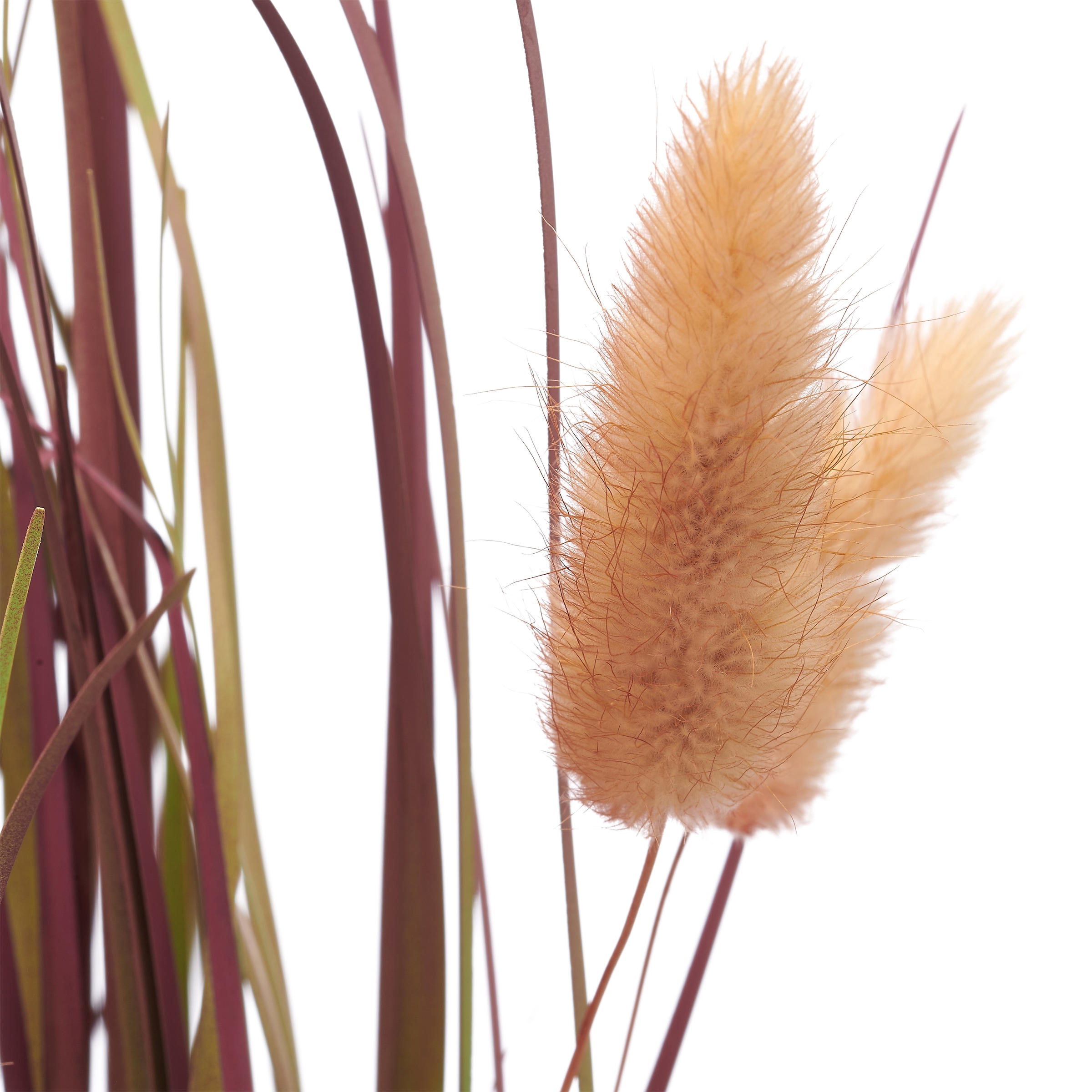 Creativ green Kunstgras »Grasbusch Lagurus«, mit zarten Blüten