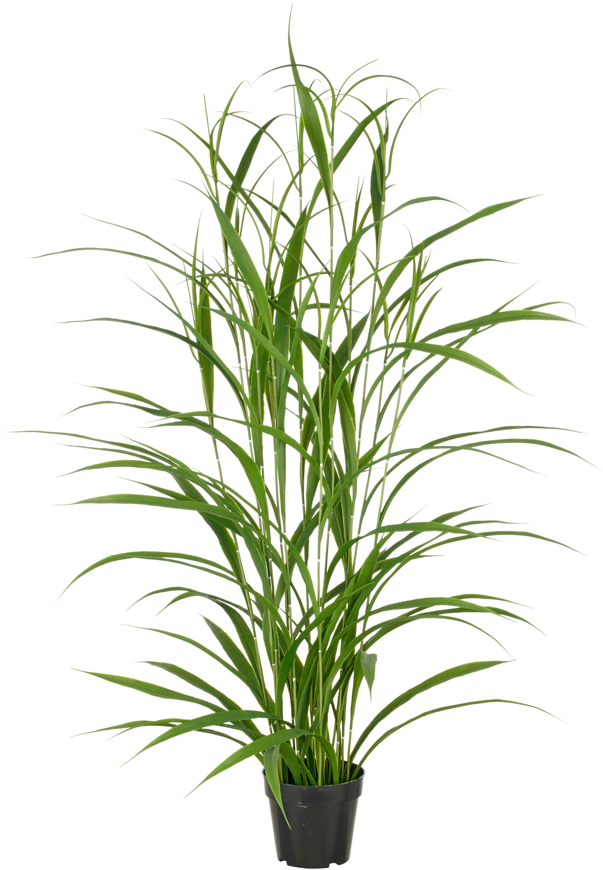 Creativ green Kunstgras "Grasbusch", mit filigranen Grashalmen günstig online kaufen