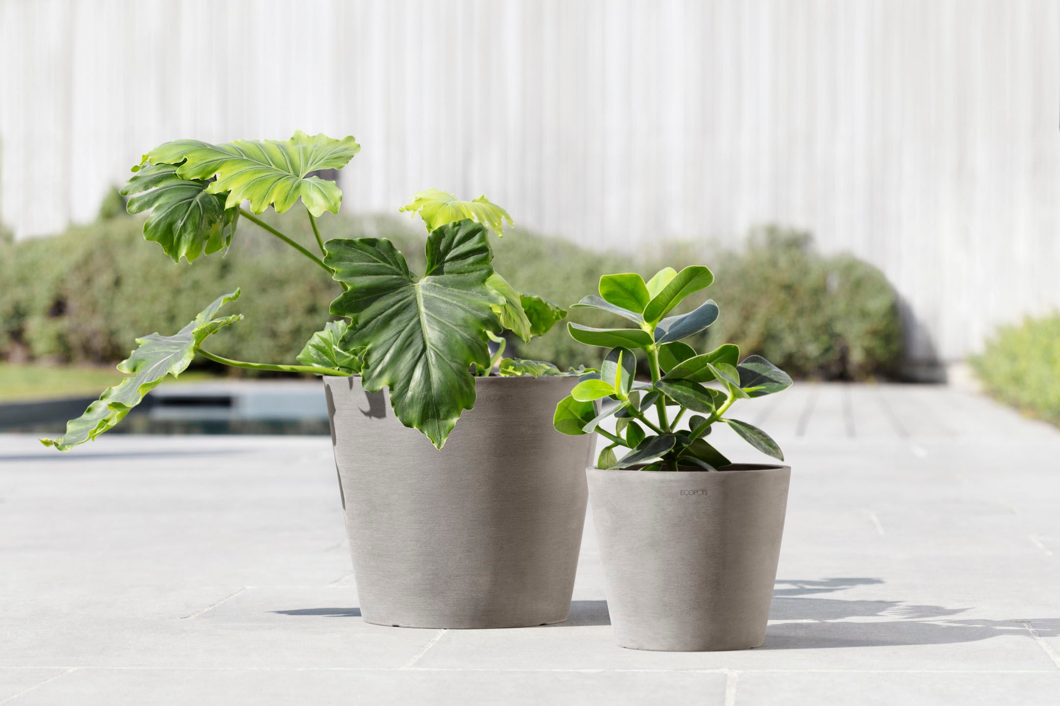 ECOPOTS Blumentopf »Amsterdam«, ØxH: 20x17,5 cm