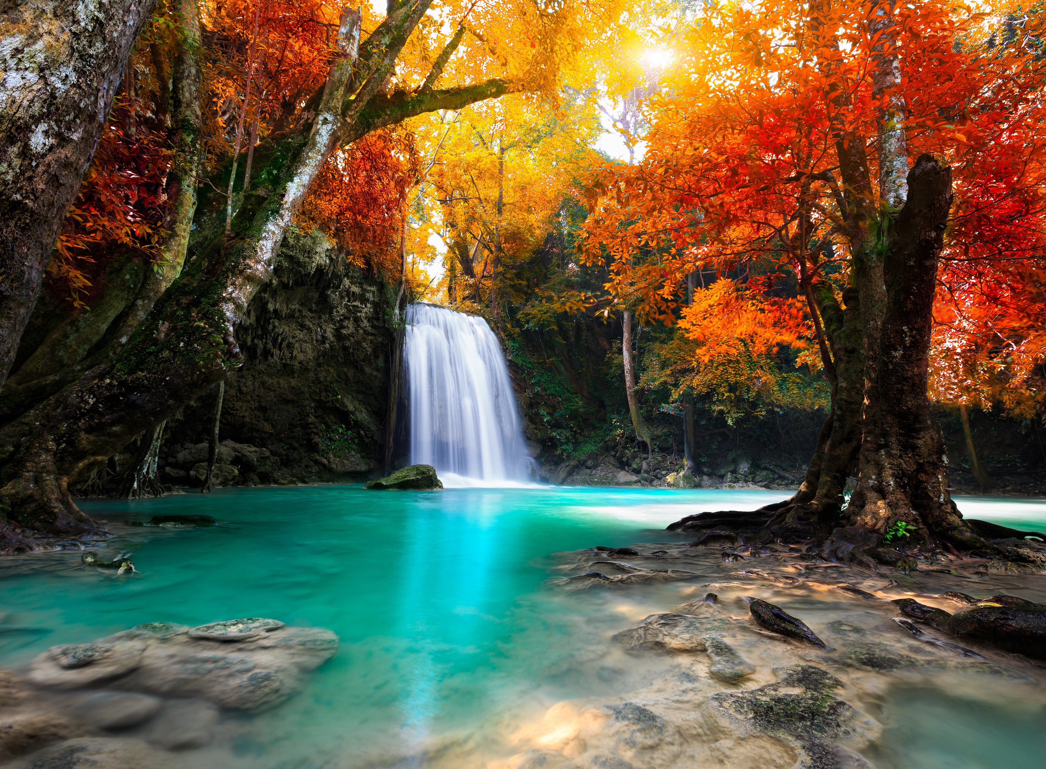 Papermoon Fototapete "Deep Forest Waterfall" glatt