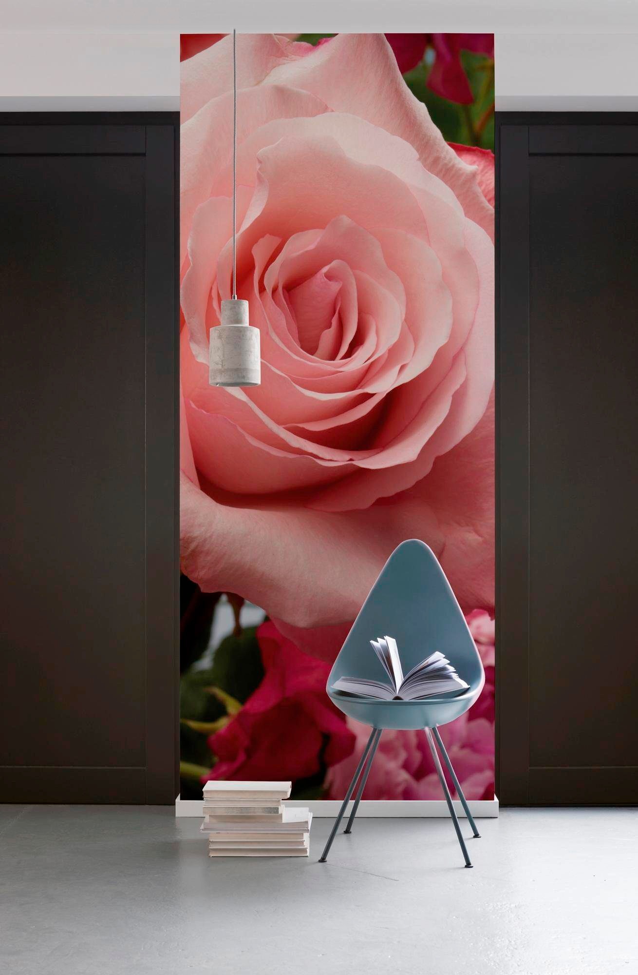 Komar Vliestapete »Digitaldruck Vlies - Rosenduft - Größe 100 x 280 cm«, bedruckt, Wohnzimmer, Schlafzimmer
