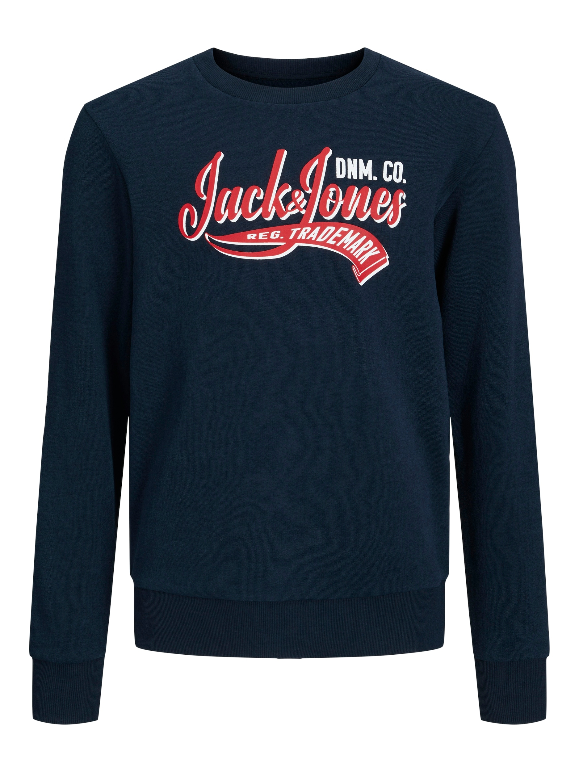 Jack & Jones Junior Sweatshirt »JJELOGO SWEAT CREW NECK 2 COL SS24 JNR«  kaufen | BAUR