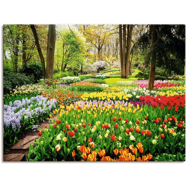 Artland Wandbild »Tulpen Garten Frühling«, Blumenwiese, (1 St.), als Alubild,  Leinwandbild, Wandaufkleber oder Poster in versch. Größen bestellen | BAUR