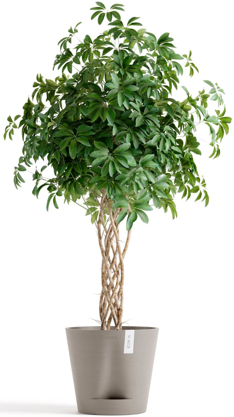 ECOPOTS Blumentopf »Venice 2 40 Taupe« für den Innenbereich