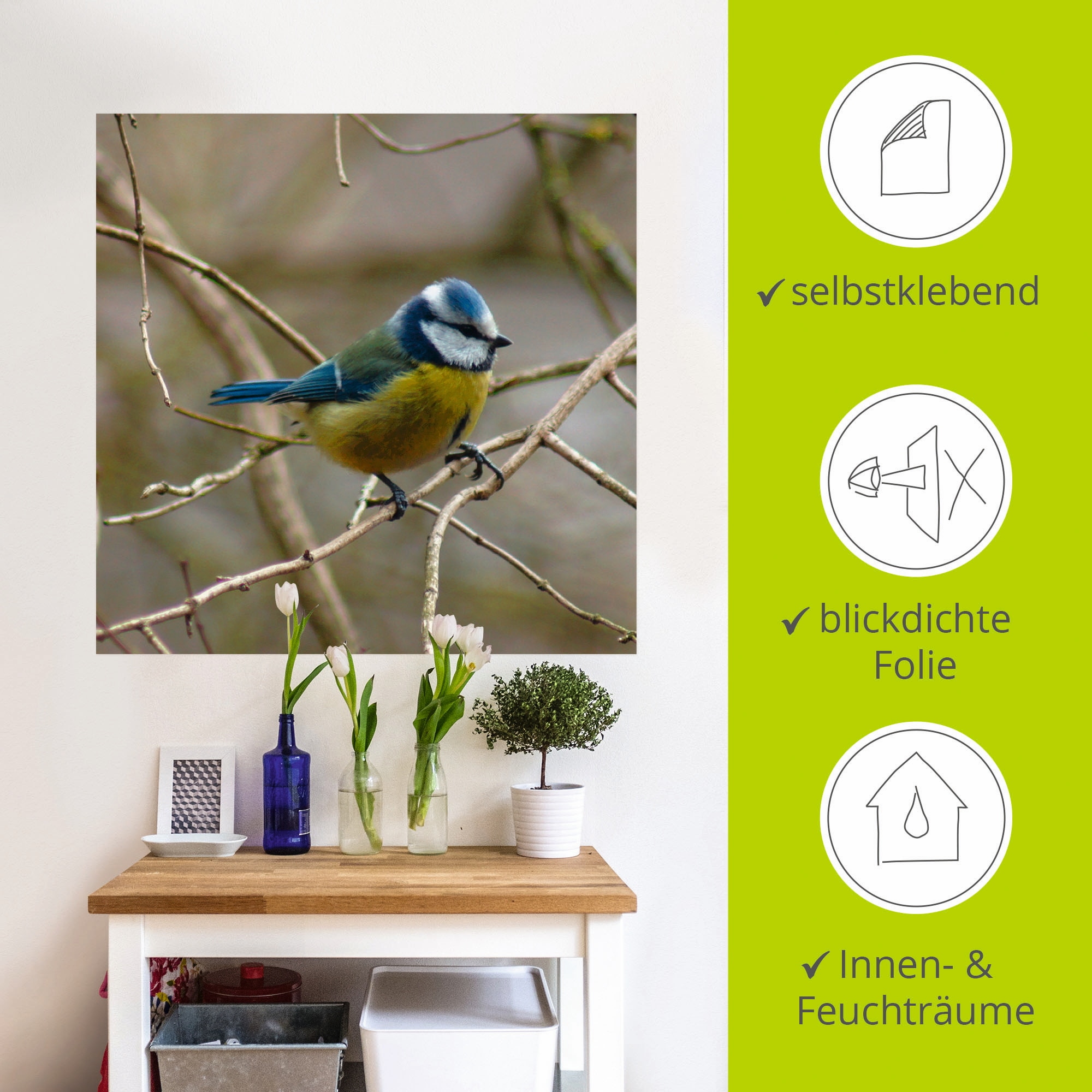 Artland Wandbild »Blaumeise«, Vögel, (1 St.), als Leinwandbild, Wandaufkleber in verschied. Größen