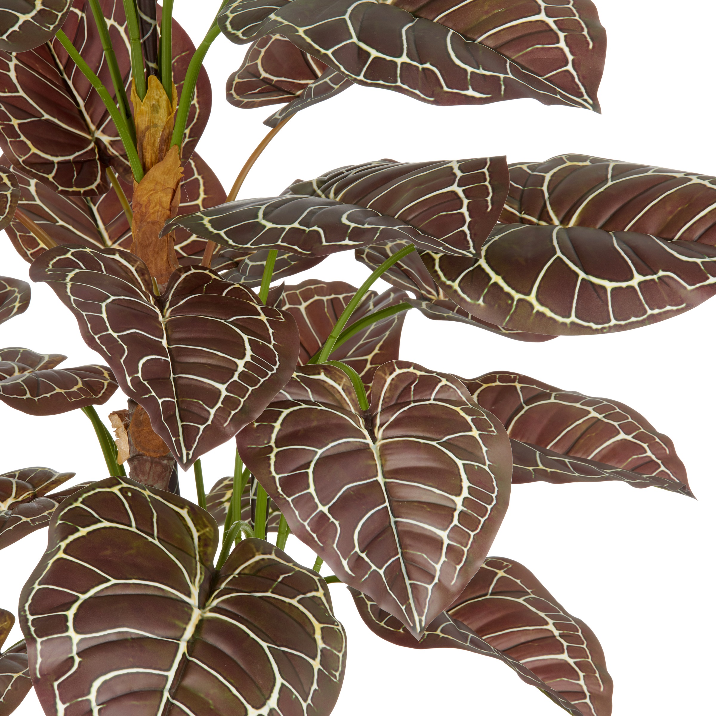 Creativ green Kunstpflanze »Anthurium«, mit naturgetreuer Gestaltung