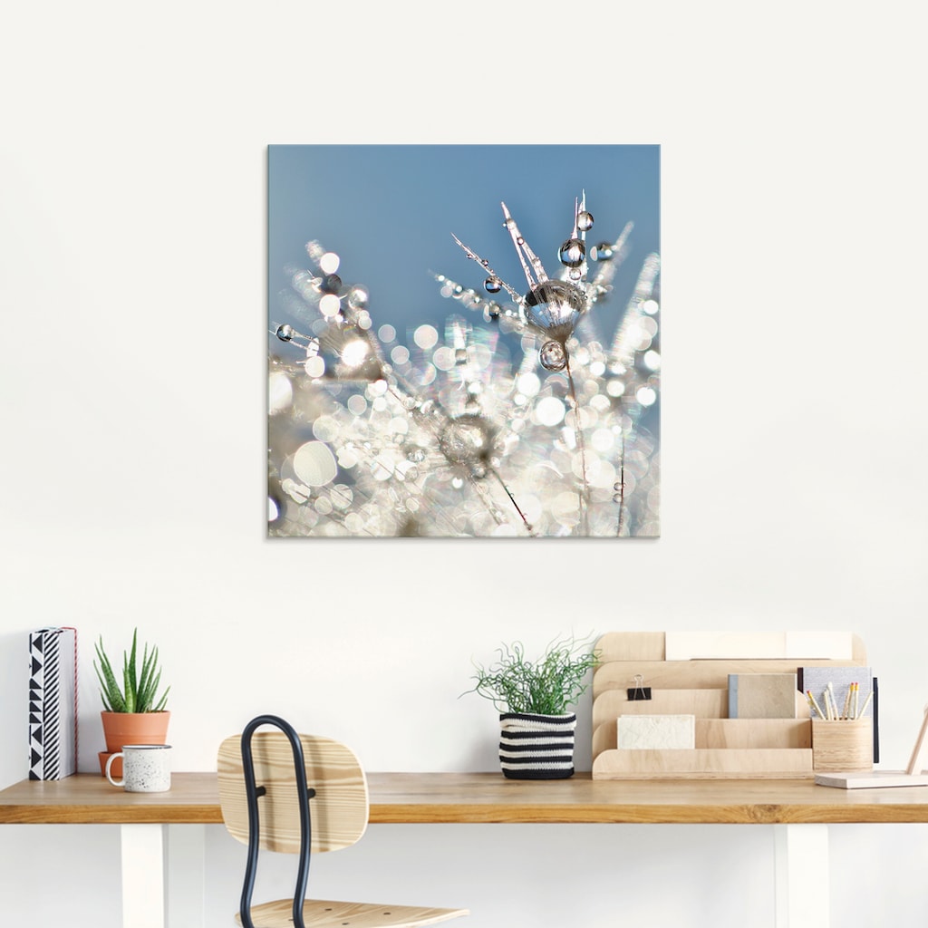 Artland Glasbild »Pusteblume Tropfen abstrakt«, Blumen, (1 St.)