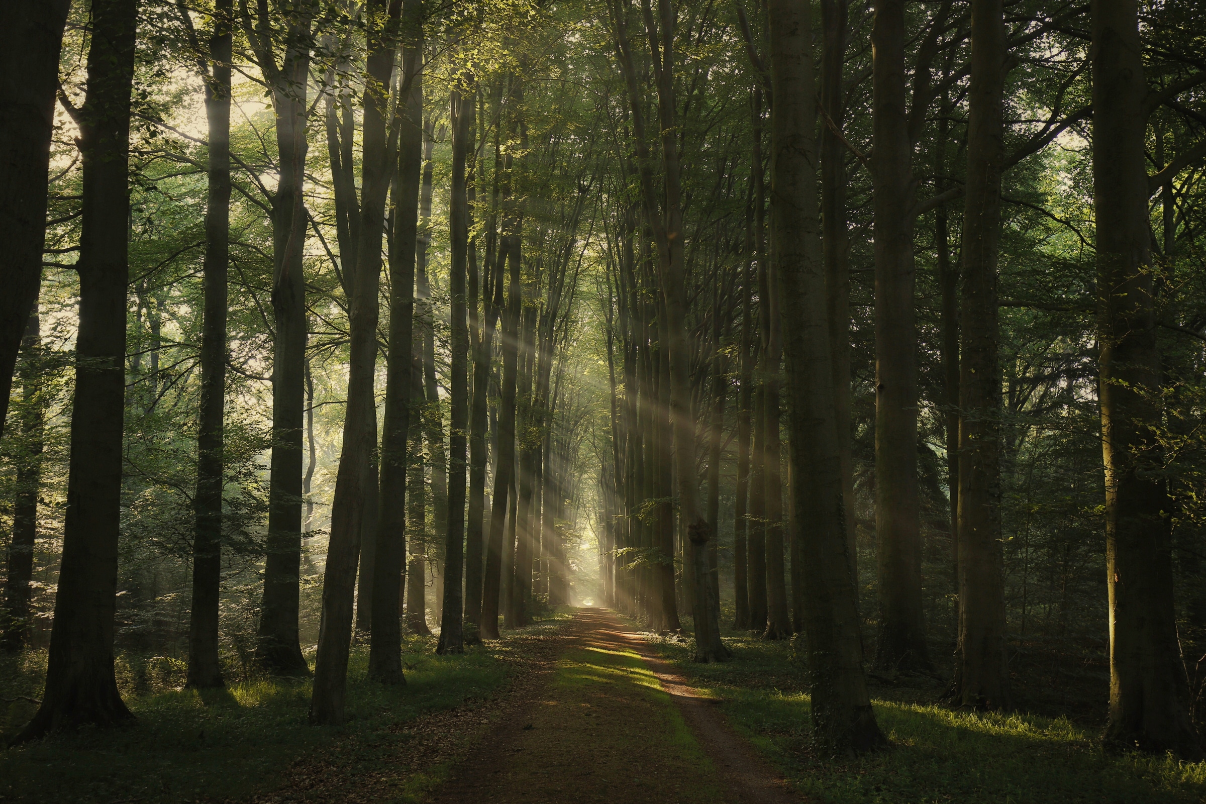 Papermoon Fototapete »Photo-Art  VINCENT CROCE, DAS ESSENZIELLE«
