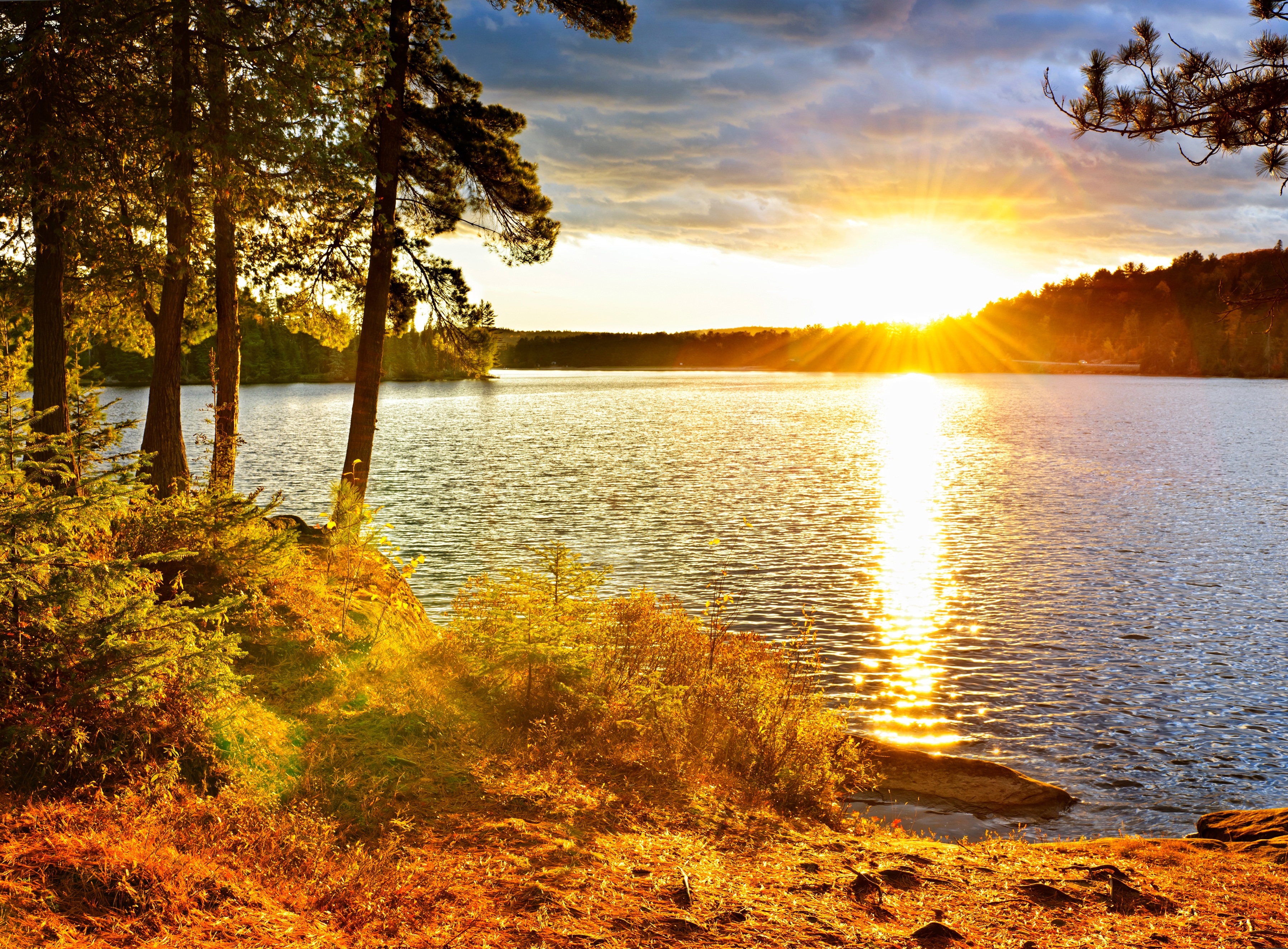 Papermoon Fototapete "Algonquin Park Lake" glatt
