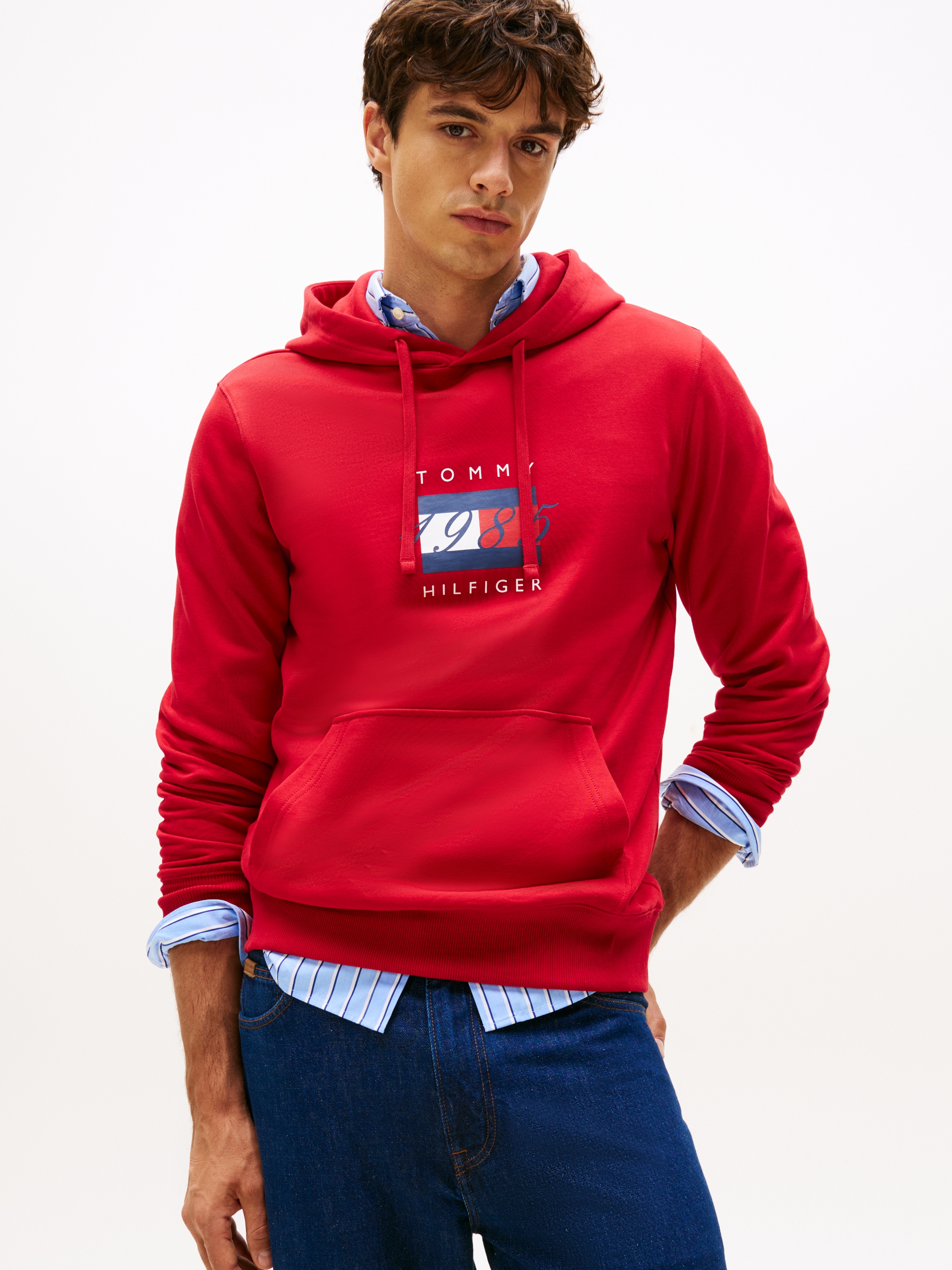 Tommy Hilfiger Kapuzensweatshirt "LINEAR FLAG GRAPHIC", Regular Fit, Hoodie günstig online kaufen
