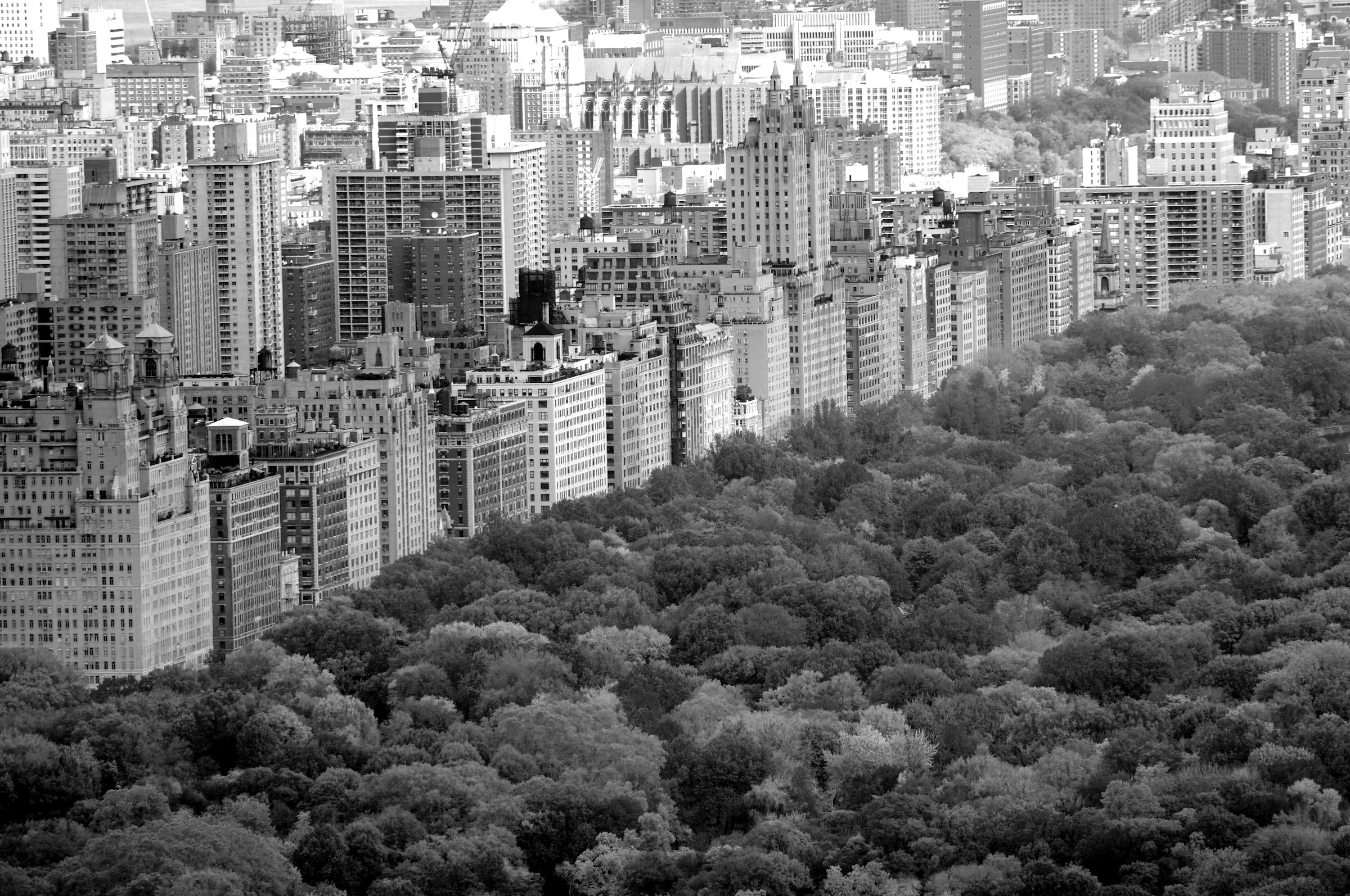 Papermoon Fototapete "Central Park Schwarz & Weiß"