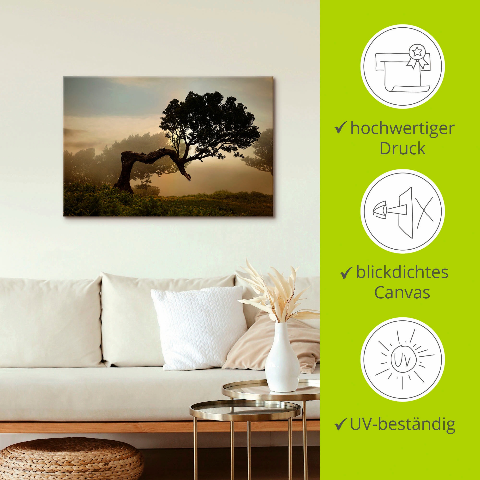 Artland Wandbild »Lorbeerbaum«, Bäume, (1 St.), als Alubild, Outdoorbild, Leinwandbild, Poster, Wandaufkleber