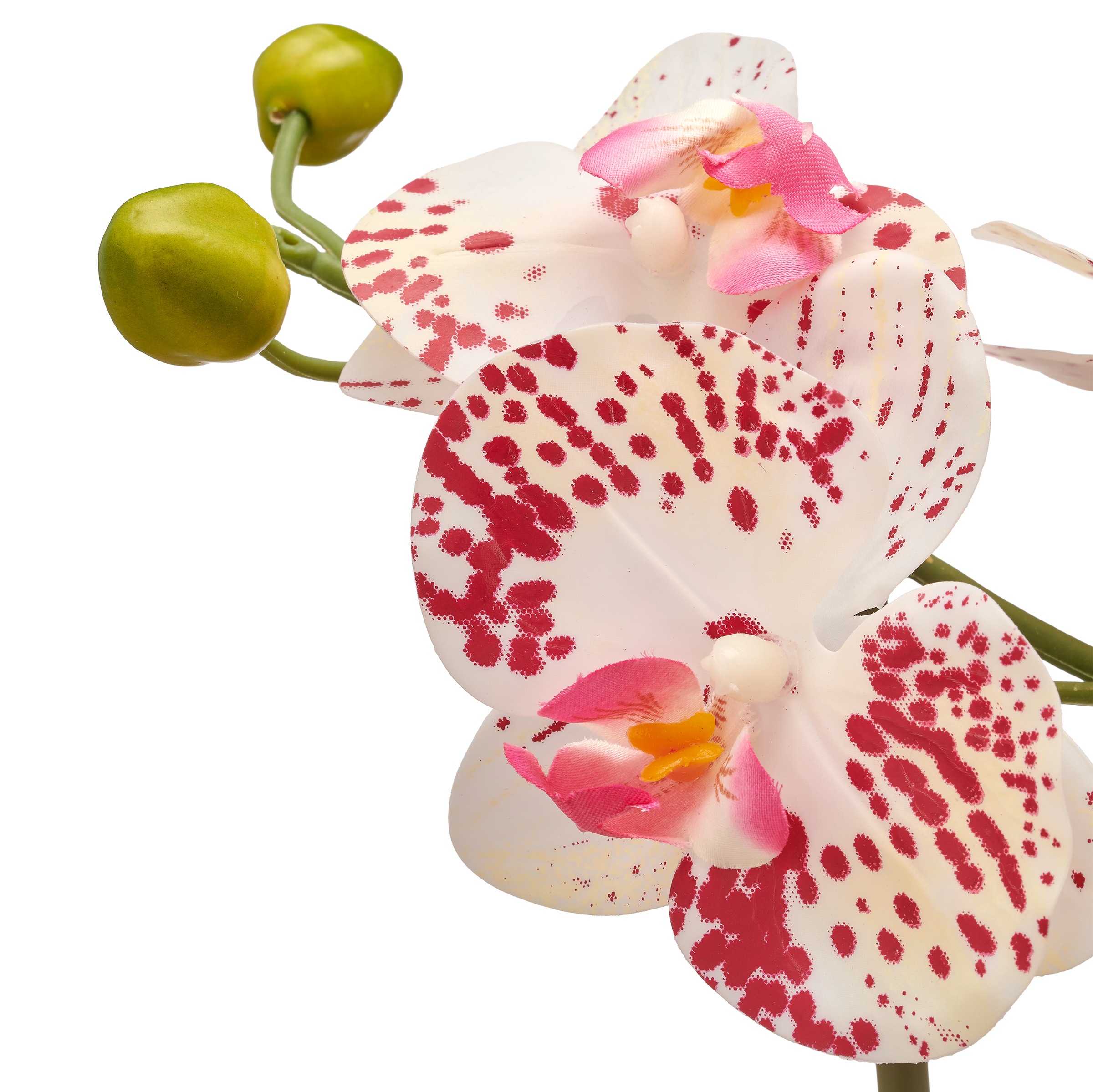 Thumbnail - Creativ green Kunstorchidee "Orchidee Phalaenopsis" im Design-Topf