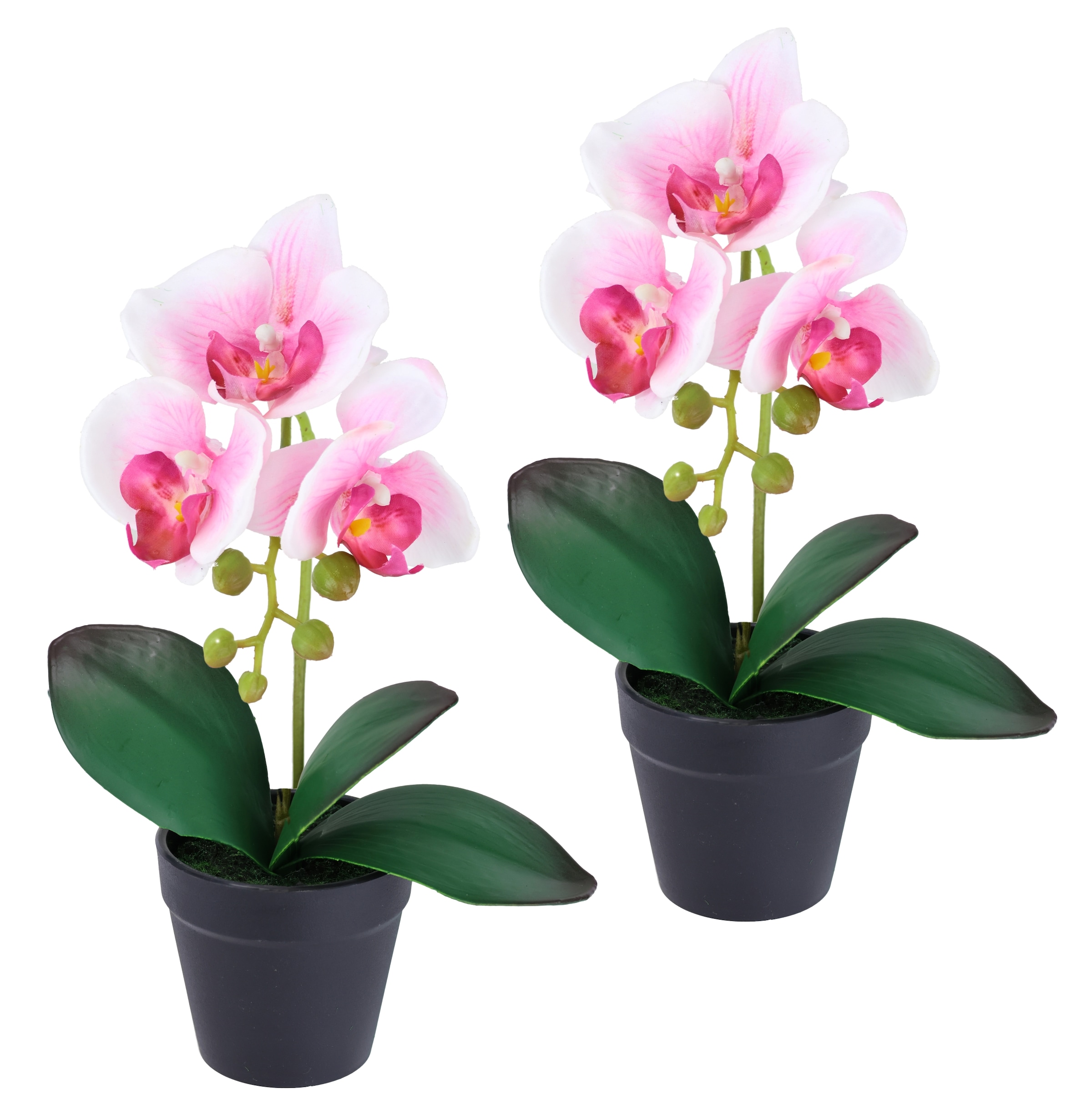 I.GE.A. Kunstorchidee "Orchidee im Topf 2er Set" Künstliche Phalaenopsis 30 günstig online kaufen