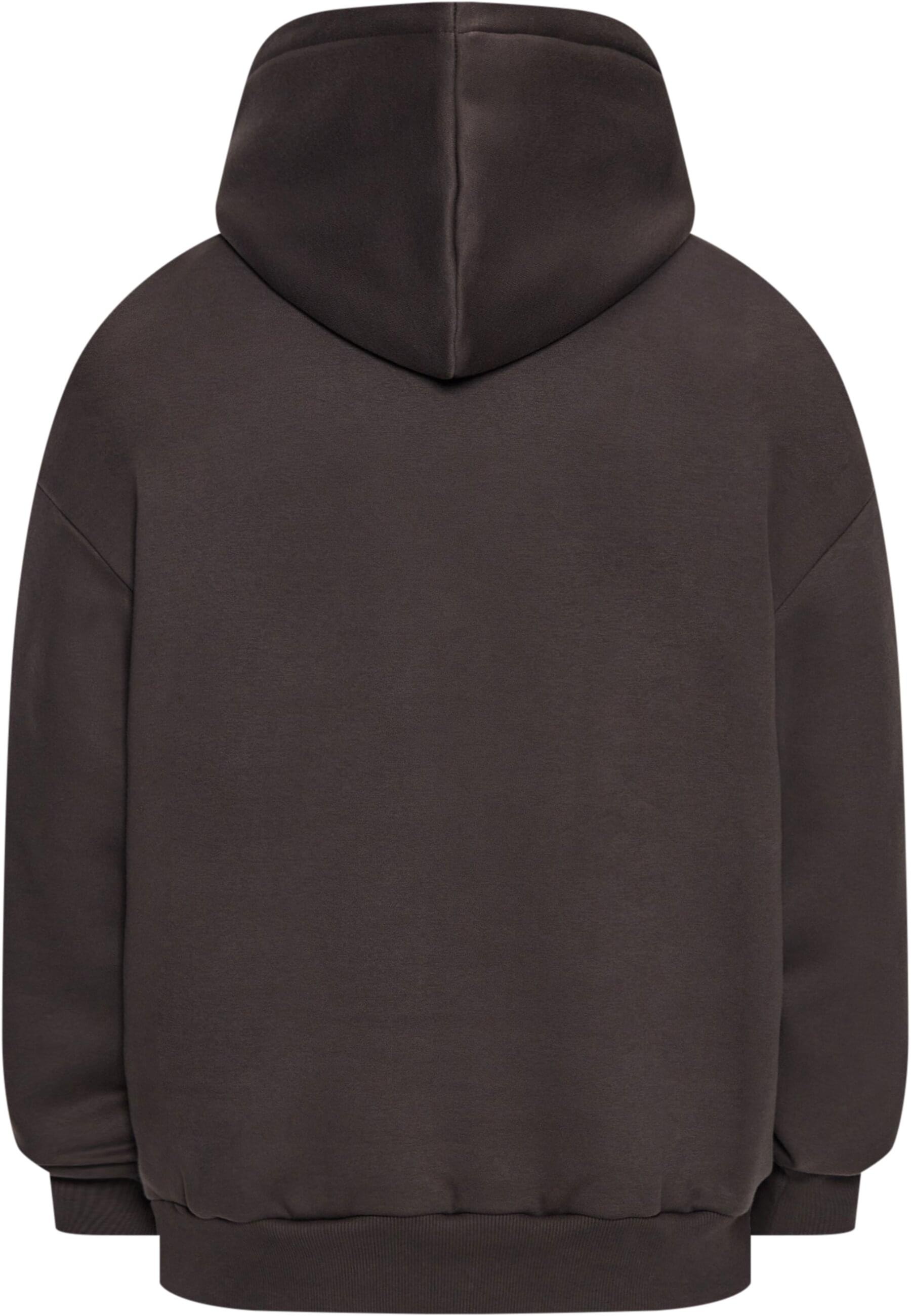 Dropsize Kapuzensweatshirt "Dropsize Herren", 1 Stk. günstig online kaufen