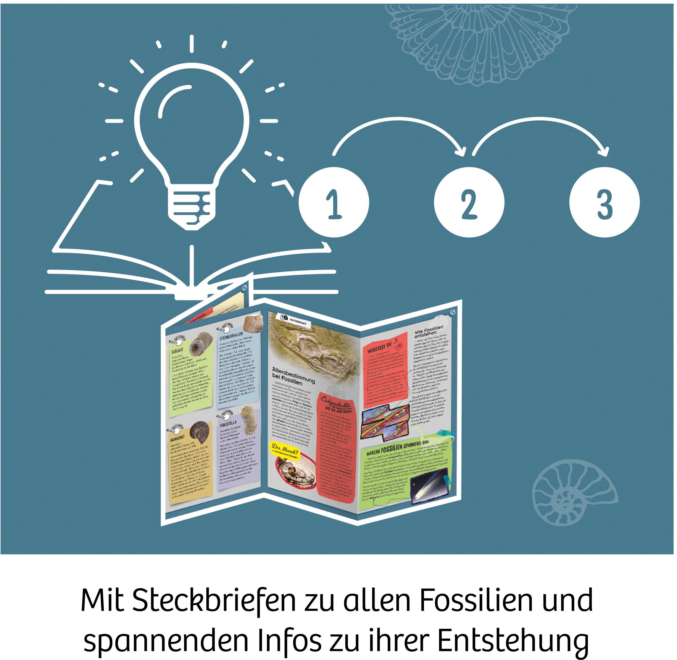 Kosmos Experimentierkasten »Fossilien«