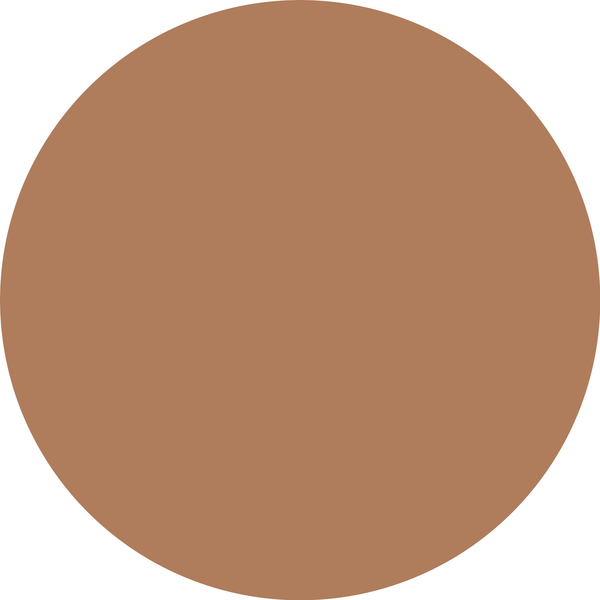 Catrice Foundation »Invisible Cover Cushion Foundation«
