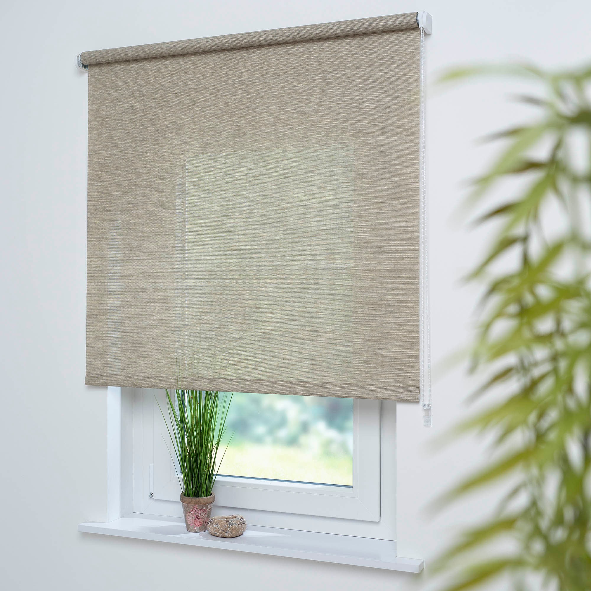 Liedeco Seitenzugrollo "Dekor Struktur" Lichtschutz mit Bohren günstig online kaufen