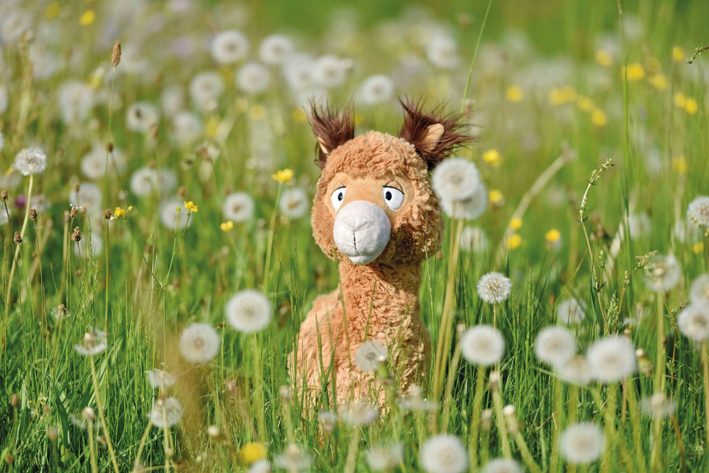 Nici Kuscheltier »Alpaca & Friends, Alpaka Al Paka, 35 cm«, enthält recyceltes Material (Global Recycled Standard)