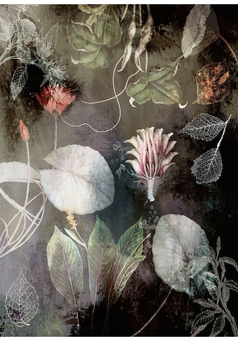 Komar Vliestapete »Night Flowers« 200x280 cm...