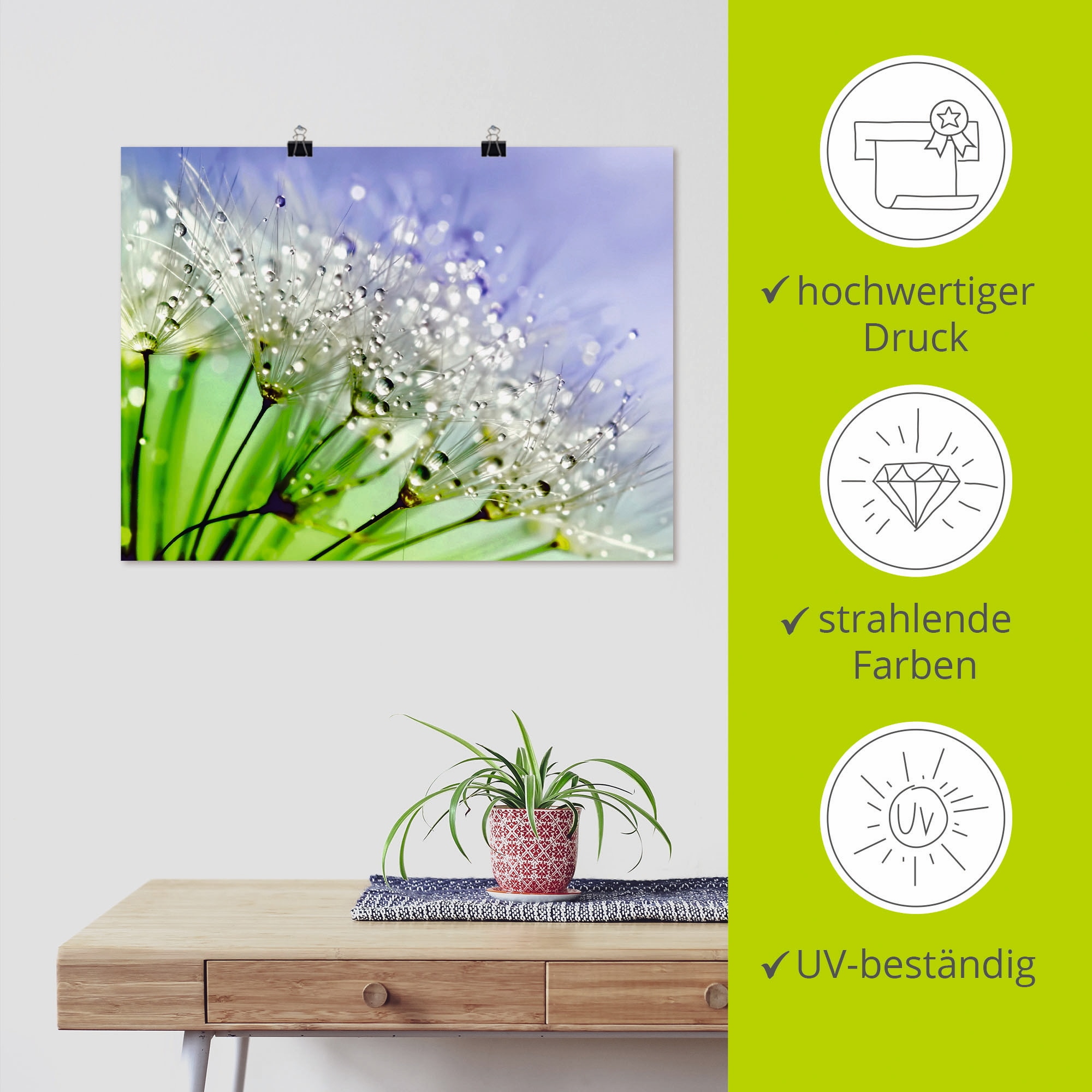 Artland »Glitzernde Pusteblume III« Blumen 1 Stk. tlg. als Leinwandbild, Poster in verschied. Größen