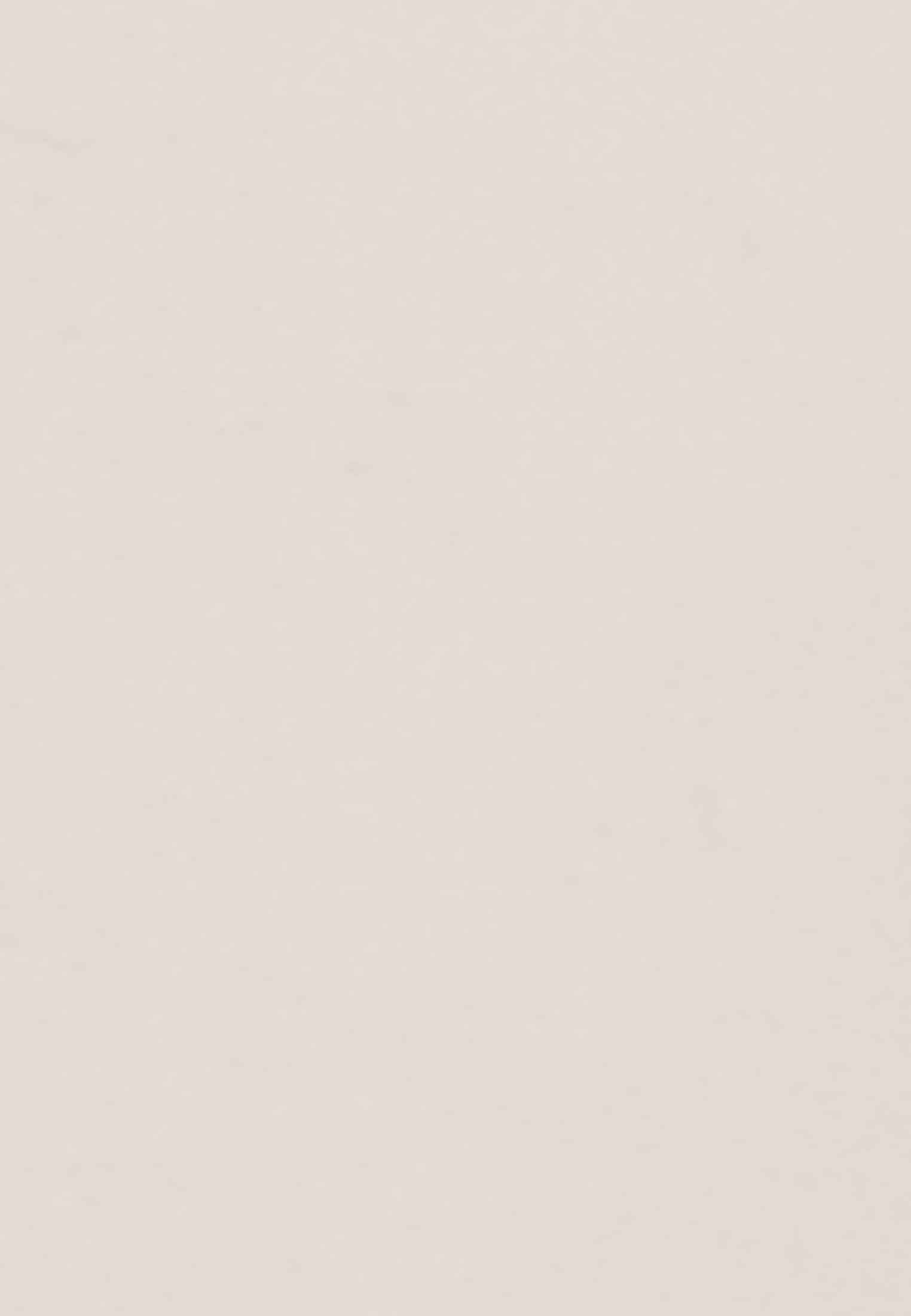 seidensticker Culotte »Schwarze Rose«