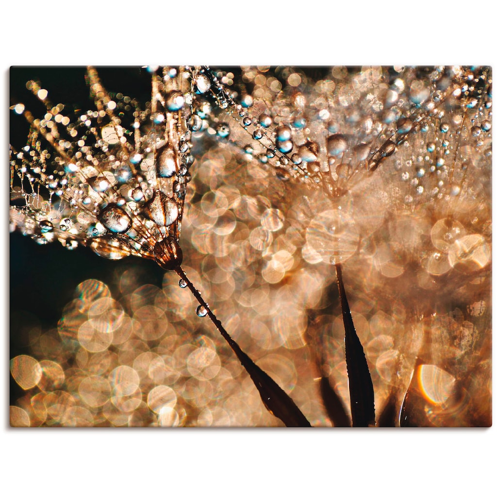 Artland Wandbild »Pusteblume Goldschimmer«, Blumen, (1 St.)