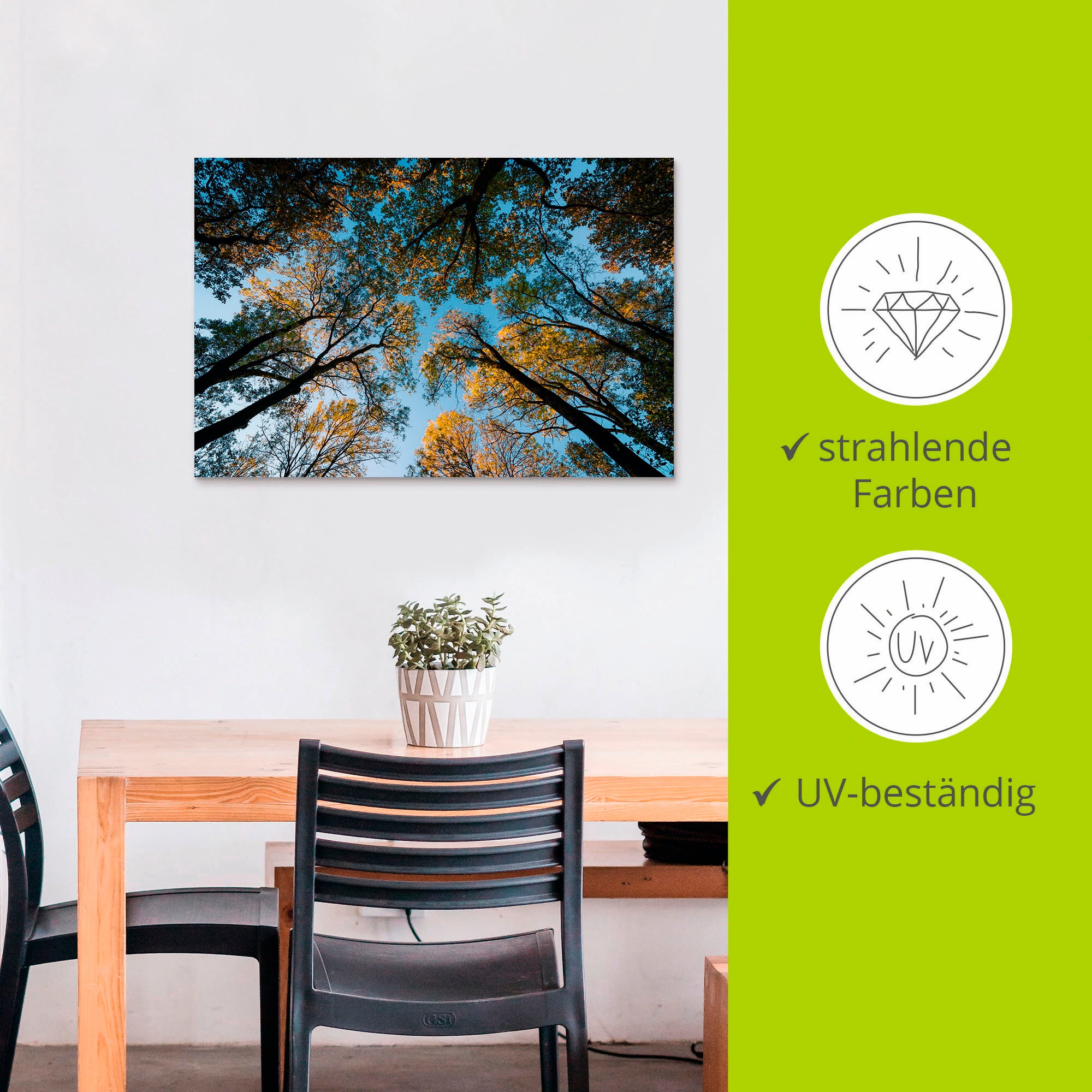 Artland Wandbild »Herbst im Wald«, Bäume, (1 St.), als Alubild, Outdoorbild, Leinwandbild in verschied. Größen