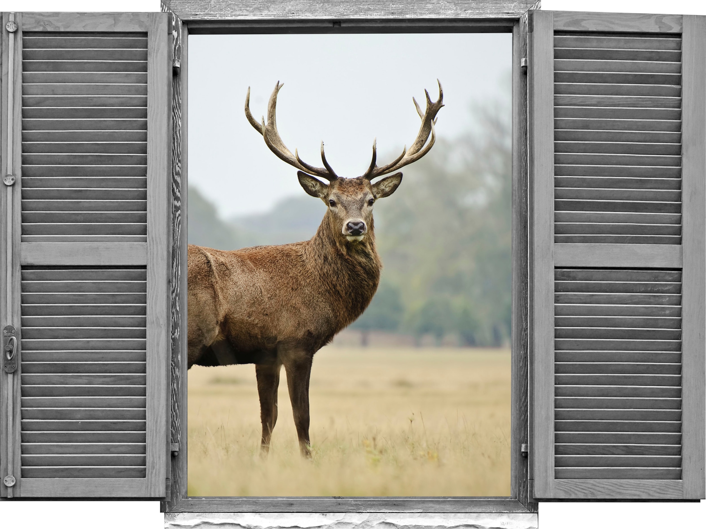 queence Wandtattoo »Hirsch« (1 St.)