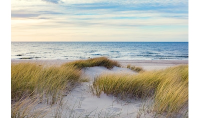 Fototapete »Dünen in der Ostsee«