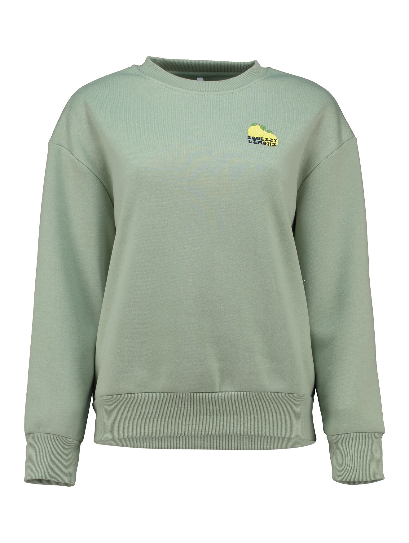 HaILY’S Sweatshirt »LS C SW Mi44lou«